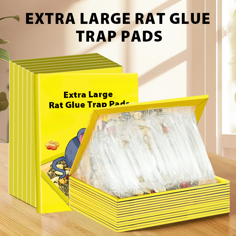 🥳2026 HOT SALE🥳💞50K+ SOLD! 🐭🌀 50% OFF! Foldable Sticky Mouse Traps – pre-applied attractant, waterproof boards & flexible flat/angle/tunnel setup. Simple, discreet rodent control! 🛡️✅