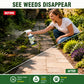 🥳2026 HOT SALE🥳💞50K+ SOLD! 🌿🛡️ 50% OFF! Glyphosate‑Free Weed Killer – Safe for pets & kids, tough on weeds. Fast‑acting, biodegradable formula – garden care made simple! 🏠💚