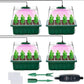 🥳2026 HOT SALE🥳💞50K+ SOLD! 🎉🌱 50% OFF! Seed Starter Trays with Grow Light – adjustable humidity, clear view & ventilation. Grow strong seedlings faster! 🛡️✅