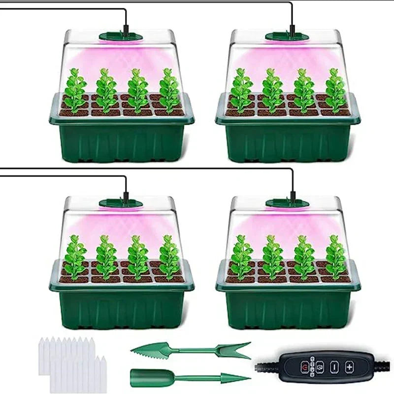 🥳2026 HOT SALE🥳💞50K+ SOLD! 🎉🌱 50% OFF! Seed Starter Trays with Grow Light – adjustable humidity, clear view & ventilation. Grow strong seedlings faster! 🛡️✅