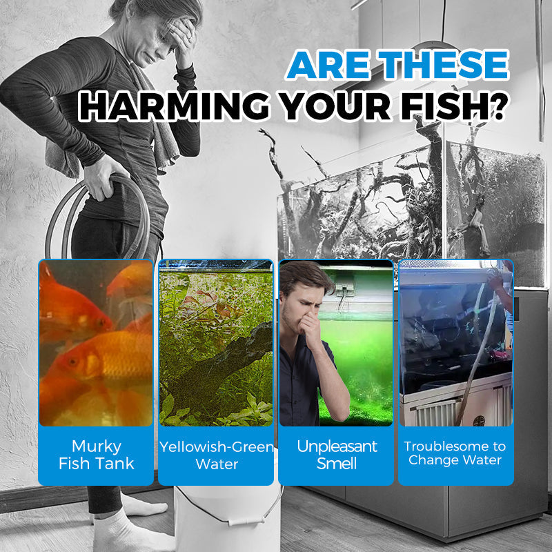 🥳2026 HOT SALE🥳💞50K+ SOLD!🐟🔧 50% OFF! Aquarium Filter System – Automatic, quiet & efficient. No more manual cleaning hassle. 🌊✅