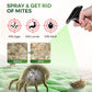 🥳2026 HOT SALE🥳💞50K+ SOLD! ✨🛏️ 50% OFF! Powerful Mite Remover Spray – Kills 99.99% dust mites, bacteria & allergens. Plant‑based, safe for kids & pets. From £6.99 – premium quality at a budget price! 🌿💪