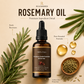 🥳2026 HOT SALE🥳💞50K+ SOLD!🌿✨ 50% OFF! 100% Pure Batana Hair Oil – Penetrates deep, reactivates growth. Stops hair loss, boosts natural shine. Thicker, stronger hair from the root! 💪🧴