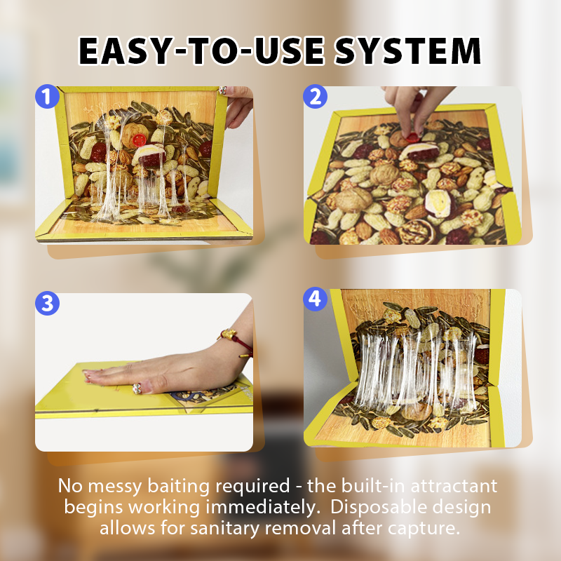 🥳2026 HOT SALE🥳💞50K+ SOLD! 🐭🌀 50% OFF! Foldable Sticky Mouse Traps – pre-applied attractant, waterproof boards & flexible flat/angle/tunnel setup. Simple, discreet rodent control! 🛡️✅