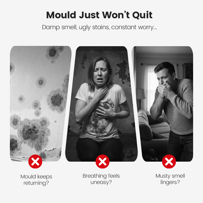 🥳2026 HOT SALE🥳💞50K+ SOLD!💥Highly Effective Mould Removal Spray - Prevents Mould Regrowth
