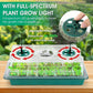 🥳2026 HOT SALE🥳💞50K+ SOLD! 🎉🌱 50% OFF! Seed Starter Trays with Grow Light – adjustable humidity, clear view & ventilation. Grow strong seedlings faster! 🛡️✅