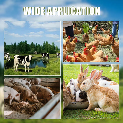 🔄✂️ Restore Your Shredder to Like-New! Replacement Blade Set 50% OFF⚙️🔪