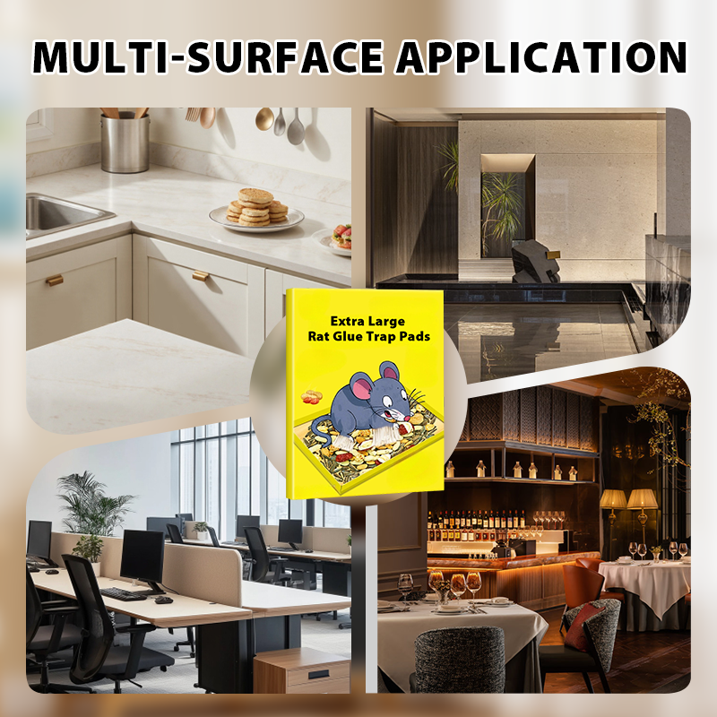 🥳2026 HOT SALE🥳💞50K+ SOLD! 🐭🌀 50% OFF! Foldable Sticky Mouse Traps – pre-applied attractant, waterproof boards & flexible flat/angle/tunnel setup. Simple, discreet rodent control! 🛡️✅