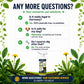 🥳2026 HOT SALE🥳💞50K+ SOLD! 🌿🛡️ 50% OFF! Glyphosate‑Free Weed Killer – Safe for pets & kids, tough on weeds. Fast‑acting, biodegradable formula – garden care made simple! 🏠💚