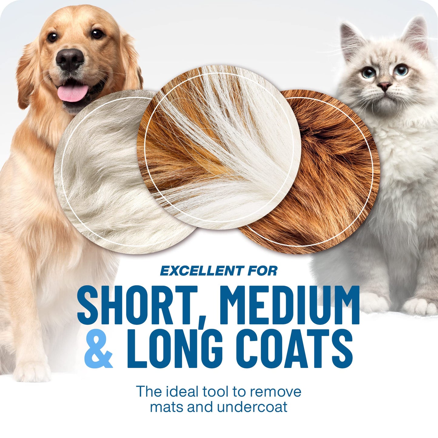 🥳2026 HOT SALE🥳💞50K+ SOLD!🔥💖 50% OFF! Gentle Deshedding Brush for Dogs & Cats – Sharp inner blades cut tangles, rounded tips protect skin. Ergonomic grip, easy to clean. Love the brush, hate the shedding. 🐈🌸