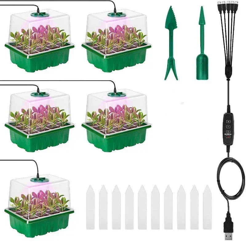 🥳2026 HOT SALE🥳💞50K+ SOLD! 🎉🌱 50% OFF! Seed Starter Trays with Grow Light – adjustable humidity, clear view & ventilation. Grow strong seedlings faster! 🛡️✅
