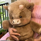 🥳2026 HOT SALE🥳💞50K+ SOLD! 🐮🧸 50% OFF! Highland Cow Soft Toy – 35cm fluffy plush, cloud-soft & cuddle-approved. Perfect gift for kids! 🎁💚