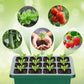 🥳2026 HOT SALE🥳💞50K+ SOLD! 🎉🌱 50% OFF! Seed Starter Trays with Grow Light – adjustable humidity, clear view & ventilation. Grow strong seedlings faster! 🛡️✅