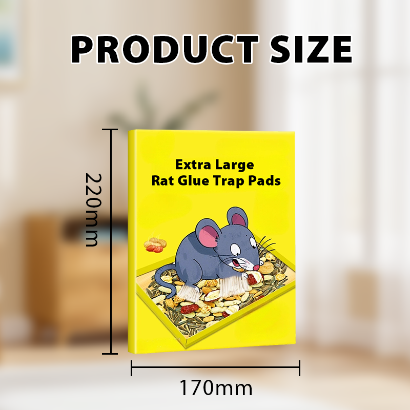 🥳2026 HOT SALE🥳💞50K+ SOLD! 🐭🌀 50% OFF! Foldable Sticky Mouse Traps – pre-applied attractant, waterproof boards & flexible flat/angle/tunnel setup. Simple, discreet rodent control! 🛡️✅