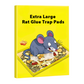 🥳2026 HOT SALE🥳💞50K+ SOLD! 🐭🌀 50% OFF! Foldable Sticky Mouse Traps – pre-applied attractant, waterproof boards & flexible flat/angle/tunnel setup. Simple, discreet rodent control! 🛡️✅