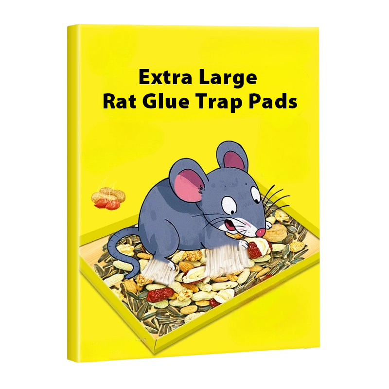 🥳2026 HOT SALE🥳💞50K+ SOLD! 🐭🌀 50% OFF! Foldable Sticky Mouse Traps – pre-applied attractant, waterproof boards & flexible flat/angle/tunnel setup. Simple, discreet rodent control! 🛡️✅