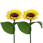 🥳2026 HOT SALE🥳💞50K+ SOLD!🌻✨ 50% OFF! Sunflower Solar Lights – Glowing petals, auto on/off. IP65 waterproof, no wiring. Up to 14hrs night glow. Perfect for garden path or patio. 🌙🌿