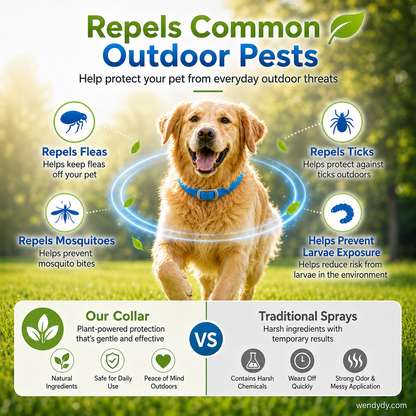 🥳2026 HOT SALE🥳💞50K+ SOLD!🌿🛡️ 50% OFF! Natural Essential Oil Pet Collar – 8‑month flea & tick protection. Plant‑based, no harsh chemicals. Safe for dogs & cats! 🐾✨