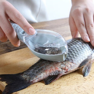 🥳2026 HOT SALE🥳💞50K+ SOLD! 🐟🧹 50% OFF! Fish Scale Remover with Collection Cover – Stainless steel scraper catches flying scales, built‑in collection chamber keeps sink tidy. Buy more, save more – from £4.99 – perfect gift for home cooks! 🛁✨