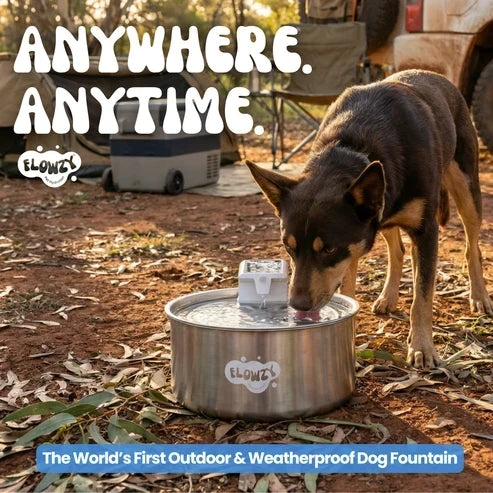 🥳2026 HOT SALE🥳💞50K+ SOLD! 💧🐾 50% OFF! Wireless Automatic Pet Water Fountain – 7L capacity, 100-day battery & weatherproof. Circulating fresh water stops algae & keeps pets healthy! 🛡️✅