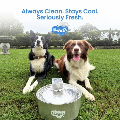 🥳2026 HOT SALE🥳💞50K+ SOLD! 💧🐾 50% OFF! Wireless Automatic Pet Water Fountain – 7L capacity, 100-day battery & weatherproof. Circulating fresh water stops algae & keeps pets healthy! 🛡️✅