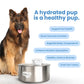 🥳2026 HOT SALE🥳💞50K+ SOLD! 💧🐾 50% OFF! Wireless Automatic Pet Water Fountain – 7L capacity, 100-day battery & weatherproof. Circulating fresh water stops algae & keeps pets healthy! 🛡️✅