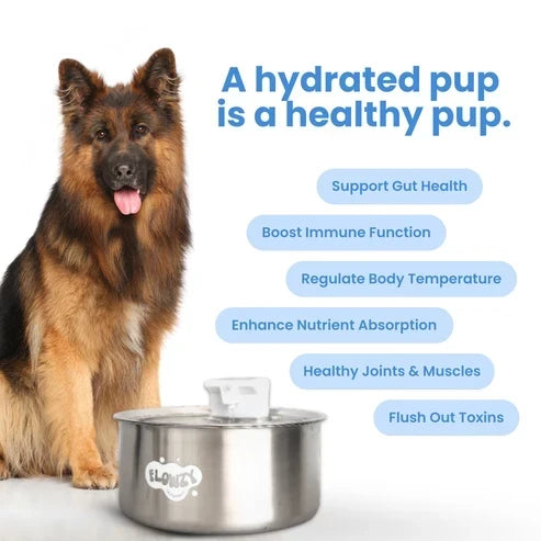 🥳2026 HOT SALE🥳💞50K+ SOLD! 💧🐾 50% OFF! Wireless Automatic Pet Water Fountain – 7L capacity, 100-day battery & weatherproof. Circulating fresh water stops algae & keeps pets healthy! 🛡️✅