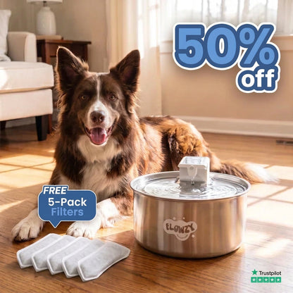 🥳2026 HOT SALE🥳💞50K+ SOLD! 💧🐾 50% OFF! Wireless Automatic Pet Water Fountain – 7L capacity, 100-day battery & weatherproof. Circulating fresh water stops algae & keeps pets healthy! 🛡️✅