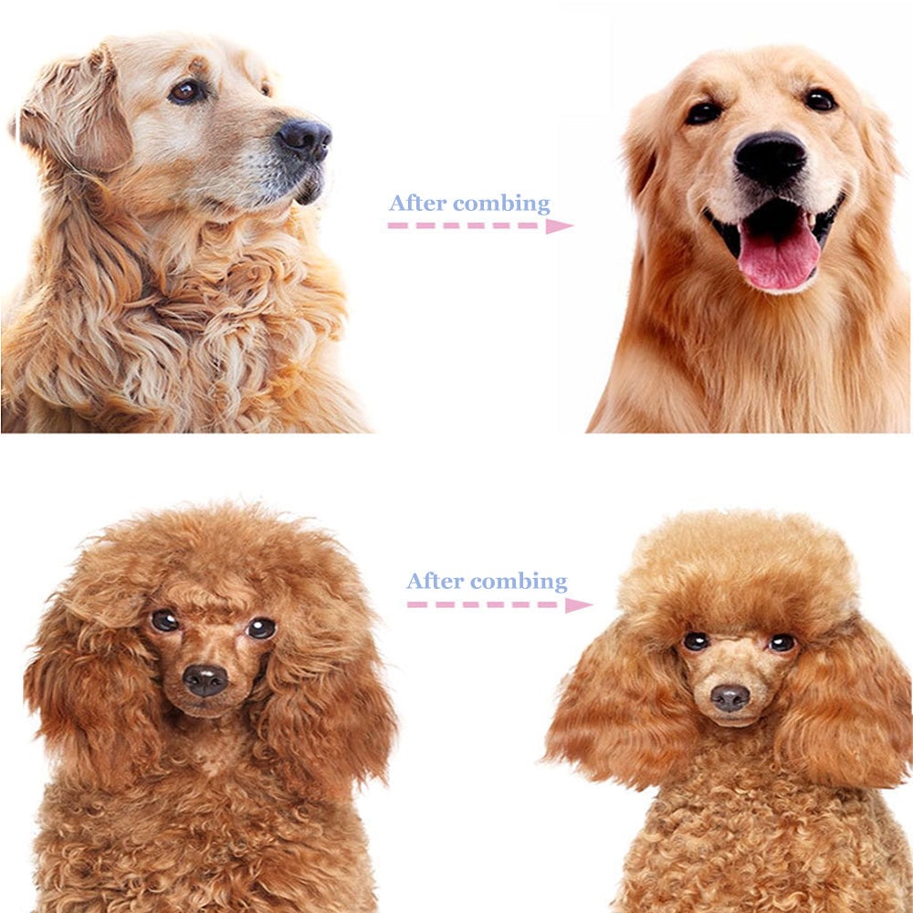 🥳2026 HOT SALE🥳💞50K+ SOLD!🔥💖 50% OFF! Gentle Deshedding Brush for Dogs & Cats – Sharp inner blades cut tangles, rounded tips protect skin. Ergonomic grip, easy to clean. Love the brush, hate the shedding. 🐈🌸