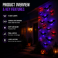 🥳2026 HOT SALE🥳💞50K+ SOLD! 🧛‍♀️🖤 50% OFF! Halloween Bat Wall Stickers – No adhesive needed, peel & stick. Remove without residue – perfect for doors, windows & walls! 🪟✅