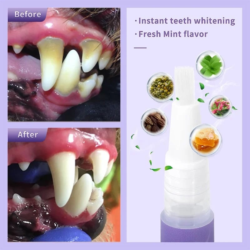 🥳2026 HOT SALE🥳💞50K+ SOLD! 🐶🦷 BUY 1 GET 1 FREE! Pet Oral Repair Gel – no brushing needed, just apply. Dissolves tartar, whitens teeth & freshens breath in days. Vet-recommended formula – your dog will love the taste! 🐱✨