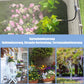 🥳2026 HOT SALE🥳💞50K+ SOLD!💥🏡✨ 50% OFF! Automatic Sprinkler System – 360° adjustable, precise coverage. Smart water-saving, easy quick-connect. Cools patios, waters plants, humidifies greenhouses. A gardener’s dream. 🪴💦