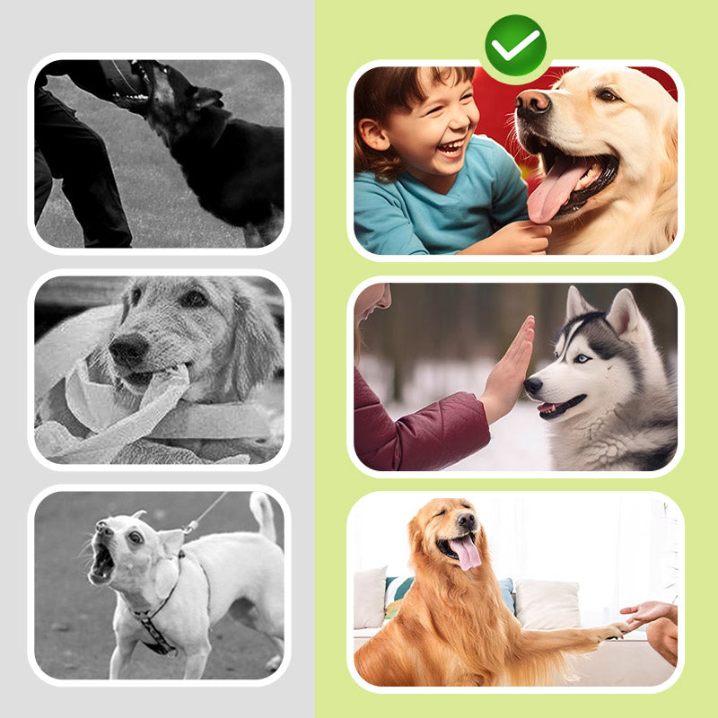 🥳2026 HOT SALE🥳💞50K+ SOLD!💥🌠🐕 50% OFF! Ultrasonic Dog Repeller – Stops barking safely & humanely. Compact & portable, perfect for walks. No harm, just peace. 🚶‍♂️✨