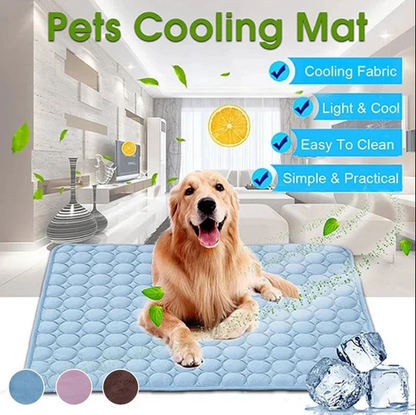 🥳2026 HOT SALE🥳💞50K+ SOLD!🧊🐾 50% OFF! Pet Cooling Ice Silk Mat – Instant chill, no water or electricity. Breathable, washable & lightweight. Keep your dog cool all summer! ☀️💙