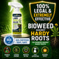 🥳2026 HOT SALE🥳💞50K+ SOLD! 🌿🛡️ 50% OFF! Glyphosate‑Free Weed Killer – Safe for pets & kids, tough on weeds. Fast‑acting, biodegradable formula – garden care made simple! 🏠💚