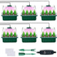 🥳2026 HOT SALE🥳💞50K+ SOLD! 🎉🌱 50% OFF! Seed Starter Trays with Grow Light – adjustable humidity, clear view & ventilation. Grow strong seedlings faster! 🛡️✅