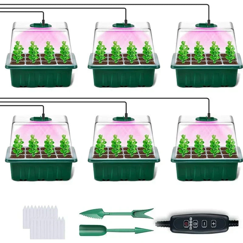 🥳2026 HOT SALE🥳💞50K+ SOLD! 🎉🌱 50% OFF! Seed Starter Trays with Grow Light – adjustable humidity, clear view & ventilation. Grow strong seedlings faster! 🛡️✅