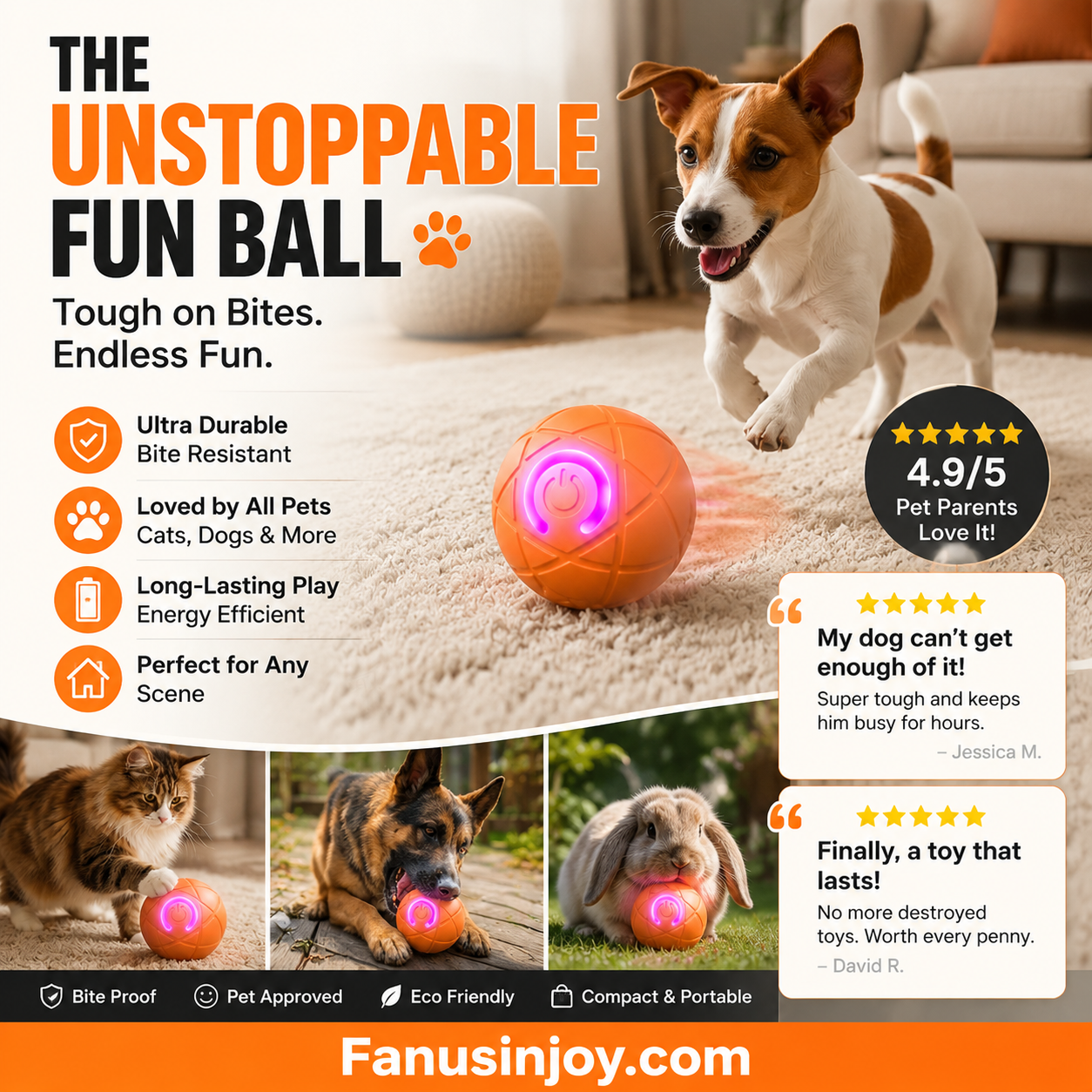 🥳2026 HOT SALE🥳💞50K+ SOLD!🐱🐶 50% OFF! Auto Bouncing Smart Pet Ball – Solo play companion, reduces anxiety & boredom. Durable & safe for small dogs & cats. USB rechargeable! 🐾✨