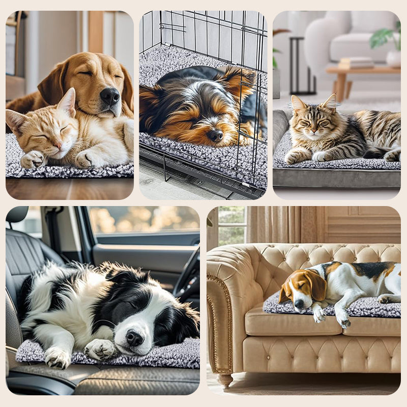 🥳2026 HOT SALE🥳💞50K+ SOLD! 🐾🔥 50% OFF! Self-Heating Pet Pad – no plug needed, reflects body heat, ultra-soft & anti-slip. Washable comfort for cats & dogs this winter! 🛏️💚