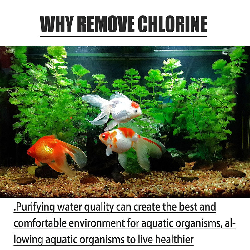 🥳2026 HOT SALE🥳💞50K+ SOLD!🐟🎉 Buy 2 Get 1 Free! Chlorine Removal Tablets – Instantly neutralizes chlorine, crystal clear water. Safe for fish & plants. A pond essential! 💧✨