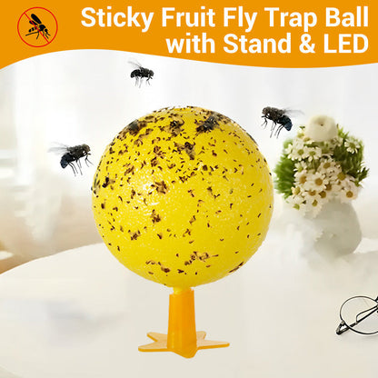🥳2026 HOT SALE🥳💞50K+ SOLD!🚫🪰 50% OFF! LED Fruit Fly Trap – Sticky ball + light attracts insects day & night. Non‑toxic, no chemicals. Perfect for kitchen & office. Just set & toss. 🍎✨