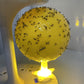 🥳2026 HOT SALE🥳💞50K+ SOLD!🚫🪰 50% OFF! LED Fruit Fly Trap – Sticky ball + light attracts insects day & night. Non‑toxic, no chemicals. Perfect for kitchen & office. Just set & toss. 🍎✨