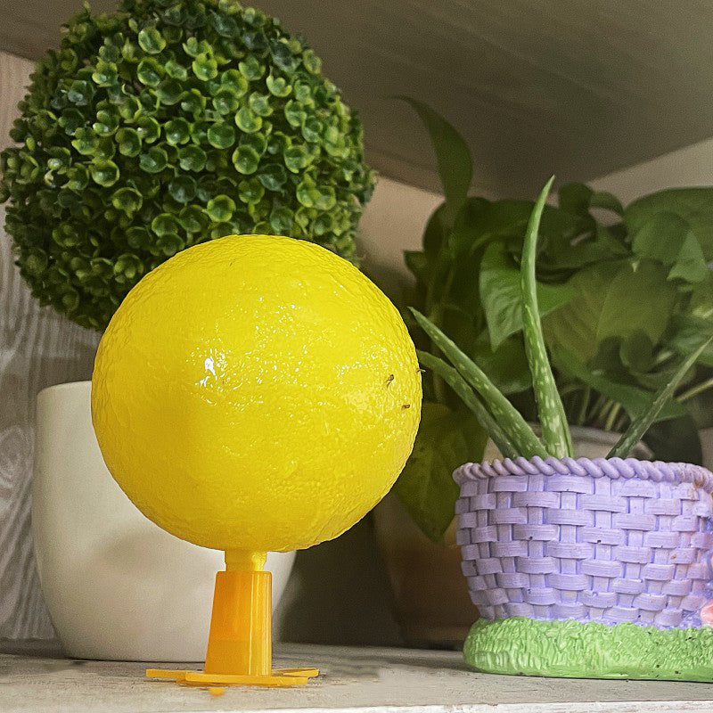 🥳2026 HOT SALE🥳💞50K+ SOLD!🚫🪰 50% OFF! LED Fruit Fly Trap – Sticky ball + light attracts insects day & night. Non‑toxic, no chemicals. Perfect for kitchen & office. Just set & toss. 🍎✨