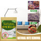 🥳2026 HOT SALE🥳💞50K+ SOLD!🌿🧺 50% OFF! Natural Mite Control Sachet – Plant‑based, non‑toxic & safe around kids & pets. Just place & forget – long‑lasting protection for closets, sofas & bedding! 🛏️✨