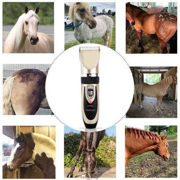 🥳2026 HOT SALE🥳💞50K+ SOLD! 🐾✂️ 50% OFF! Low Noise Pet Hair Clipper Set – cordless, ceramic blades, 4 guard combs. For cats, dogs & horses. Quiet grooming! 🔋💚
