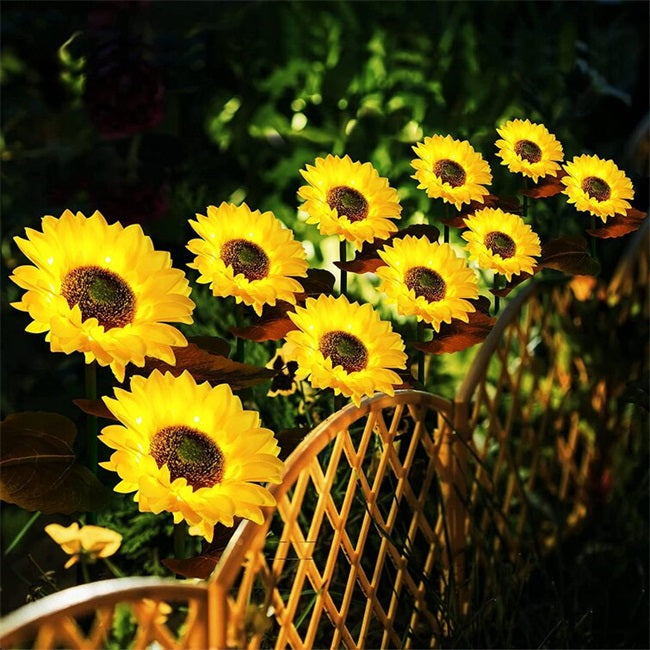 🥳2026 HOT SALE🥳💞50K+ SOLD!🌻✨ 50% OFF! Sunflower Solar Lights – Glowing petals, auto on/off. IP65 waterproof, no wiring. Up to 14hrs night glow. Perfect for garden path or patio. 🌙🌿