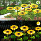 🥳2026 HOT SALE🥳💞50K+ SOLD!🌻✨ 50% OFF! Sunflower Solar Lights – Glowing petals, auto on/off. IP65 waterproof, no wiring. Up to 14hrs night glow. Perfect for garden path or patio. 🌙🌿