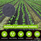 🥳2026 HOT SALE🥳💞50K+ SOLD! 🌱🏡 50% OFF – Last Day! Premium Woven Weed Barrier – High permeability, blocks weeds & protects soil. Breathable, moisture‑retaining & durable – a gardener‘s best friend! 🌿✨