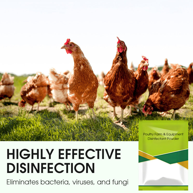 100 g disinfectant powder for poultry farms and equipmen