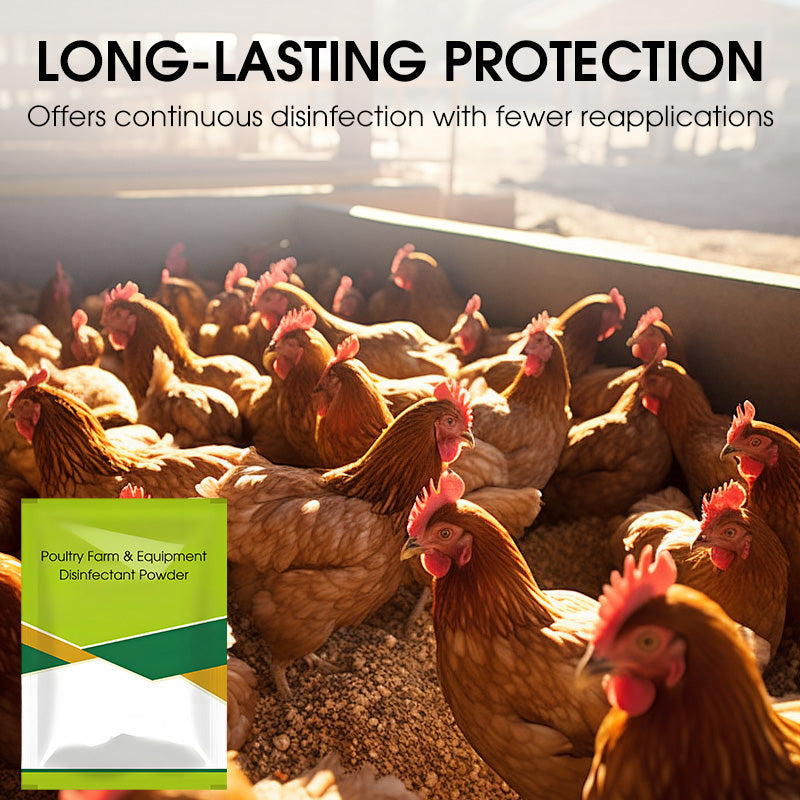 100 g disinfectant powder for poultry farms and equipmen
